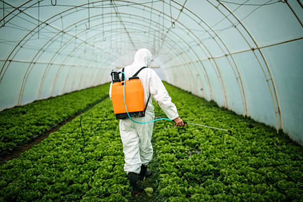 Best Emergency Pest Control  in Duncan, SC