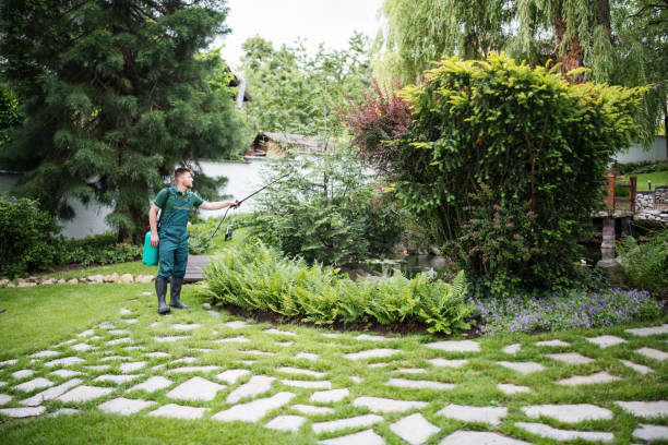 Best Mosquito Control Services  in Duncan, SC