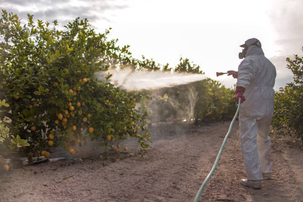 Best Best Pest Control Companies  in Duncan, SC
