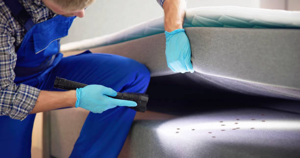 Best Cockroach Control Services  in Duncan, SC