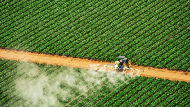 Best Pest Removal Services  in Duncan, SC