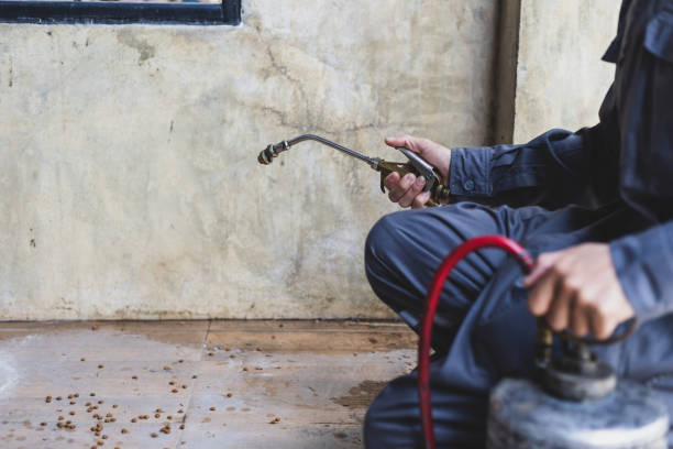 Best Pest Inspection Near Me  in Duncan, SC